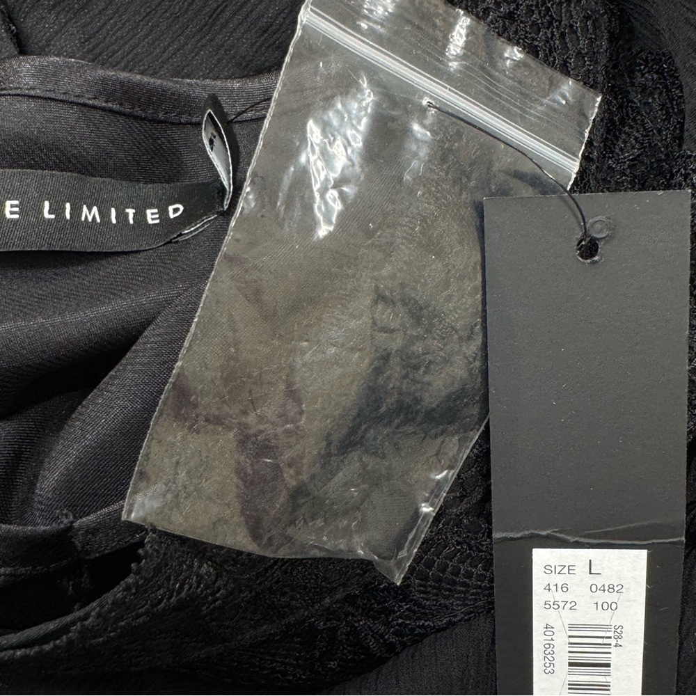 SOLD Black Sheer Silk Short Sleeve Blouse Lace Trim The Limited, Large, Camisole - Picture 6 of 16